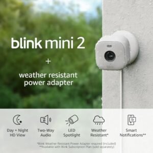 Blink Mini 2 + Weather Resistant Adapter [Newest Model] - Indoor/Outdoor Home Security & Pet Camera(s) with HD video, motion detection, and built-in spotlight - 1 camera (White)