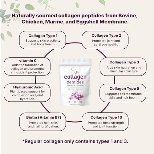 Multi Collagen Protein Powder, 2lbs – Hydrolyzed Collagen Peptides | Type I,II,III,V,X with Biotin 10000mcg, Hyaluronic Acid, Vitamin C – Unflavored – Keto & Paleo Friendly, Easy Dissolve, Non-GMO - Image 3