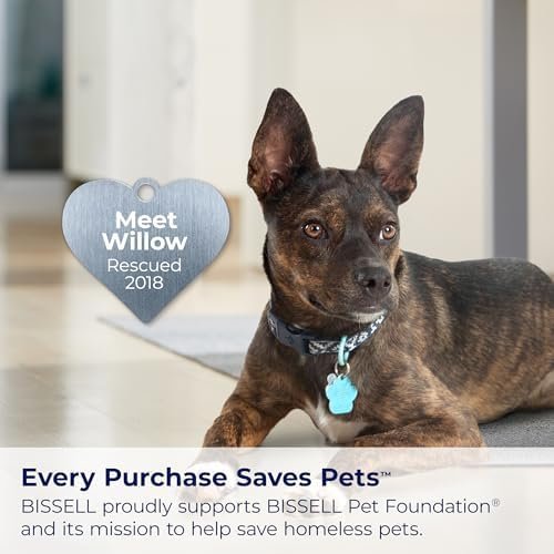 BISSELL Little Green Multi-Purpose Portable Carpet and Upholstery Cleaner, Car and Auto Detailer, with Exclusive Specialty Tools, Green, 1400B - Image 7