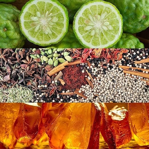 Calvin Klein Obsession Eau de Parfum – Ambery Women's Perfume – With Notes of Mandarin, Bergamot, Jasmine & Patchouli – Long Lasting Fragrance - Image 3